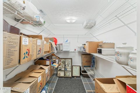 Tiny photo for 668 Raccoon Valley Rd, Maynardville, TN 37807 (MLS # 1321811)