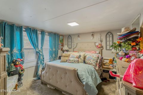 Tiny photo for 668 Raccoon Valley Rd, Maynardville, TN 37807 (MLS # 1321811)