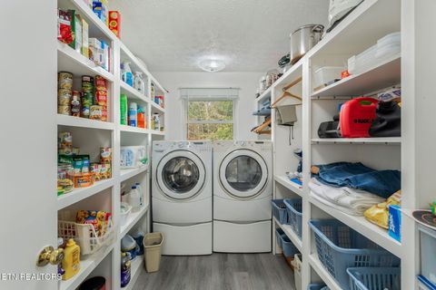 Tiny photo for 668 Raccoon Valley Rd, Maynardville, TN 37807 (MLS # 1321811)