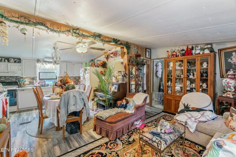 Tiny photo for 668 Raccoon Valley Rd, Maynardville, TN 37807 (MLS # 1321811)