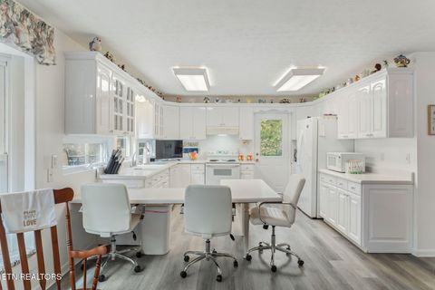 Tiny photo for 668 Raccoon Valley Rd, Maynardville, TN 37807 (MLS # 1321811)