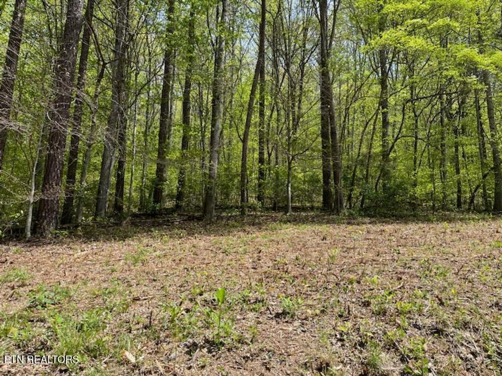 Photo of Cabin Rd, Speedwell, TN 37870 (MLS # 1328450)