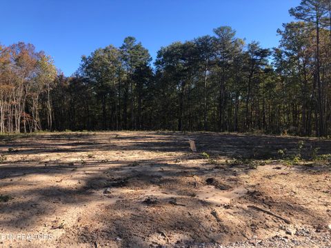 Photo of 343 Annabelle Way, Jamestown, TN 38556 (MLS # 1318848)