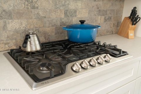 Tiny photo for 1514 Mystic St, Knoxville, TN 37922 (MLS # 1332222)