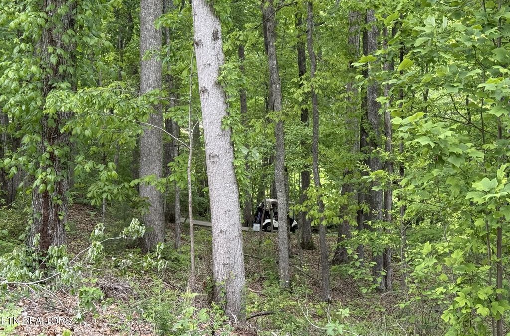 Photo of 21 Claremont Circle, Crossville, TN 38558 (MLS # 1339305)