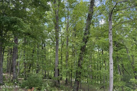Photo of 21 Claremont Circle, Crossville, TN 38558 (MLS # 1339305)