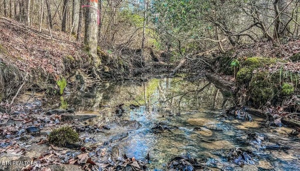 NASHVILLE AVE, DEER LODGE, TN 37726 - Image 654a55e3d2a5f091e67e77fa3b7638d6/612855267