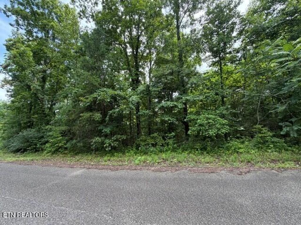 Photo of Saddleridge Dr. Drive, Speedwell, TN 37870 (MLS # 1348091)