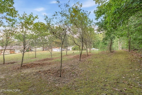Tiny photo for 2809 Highway 411, Madisonville, TN 37354 (MLS # 1357573)