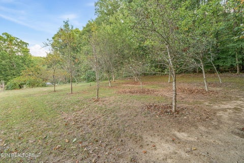 Tiny photo for 2809 Highway 411, Madisonville, TN 37354 (MLS # 1357573)