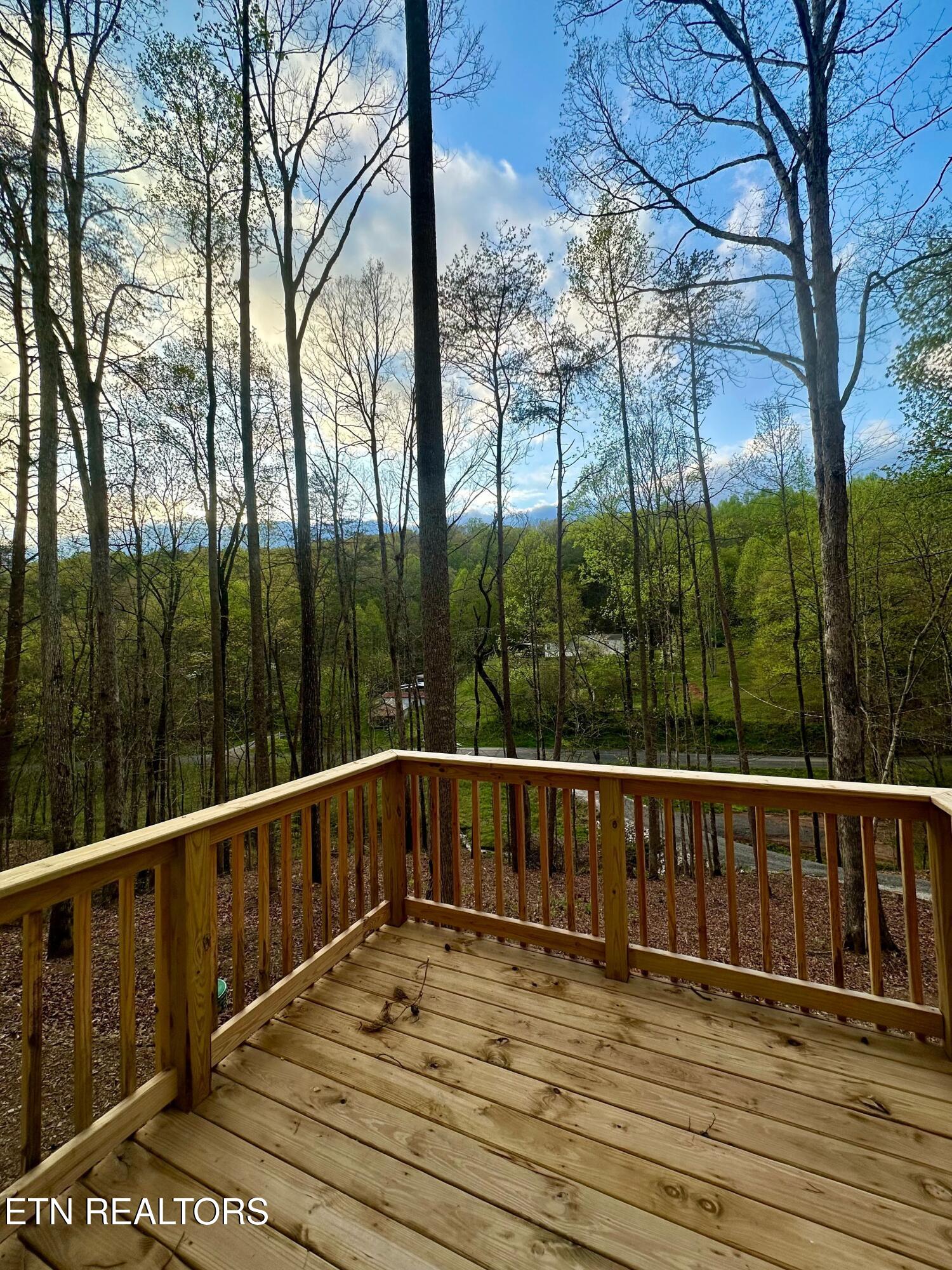 170 Lone Mountain Rd