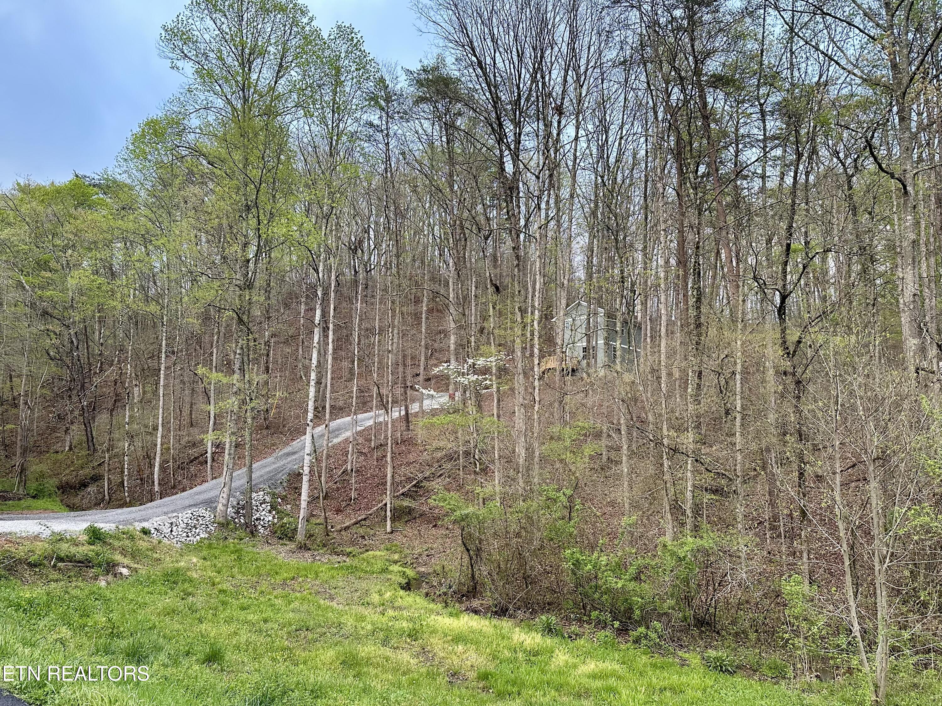 170 Lone Mountain Rd