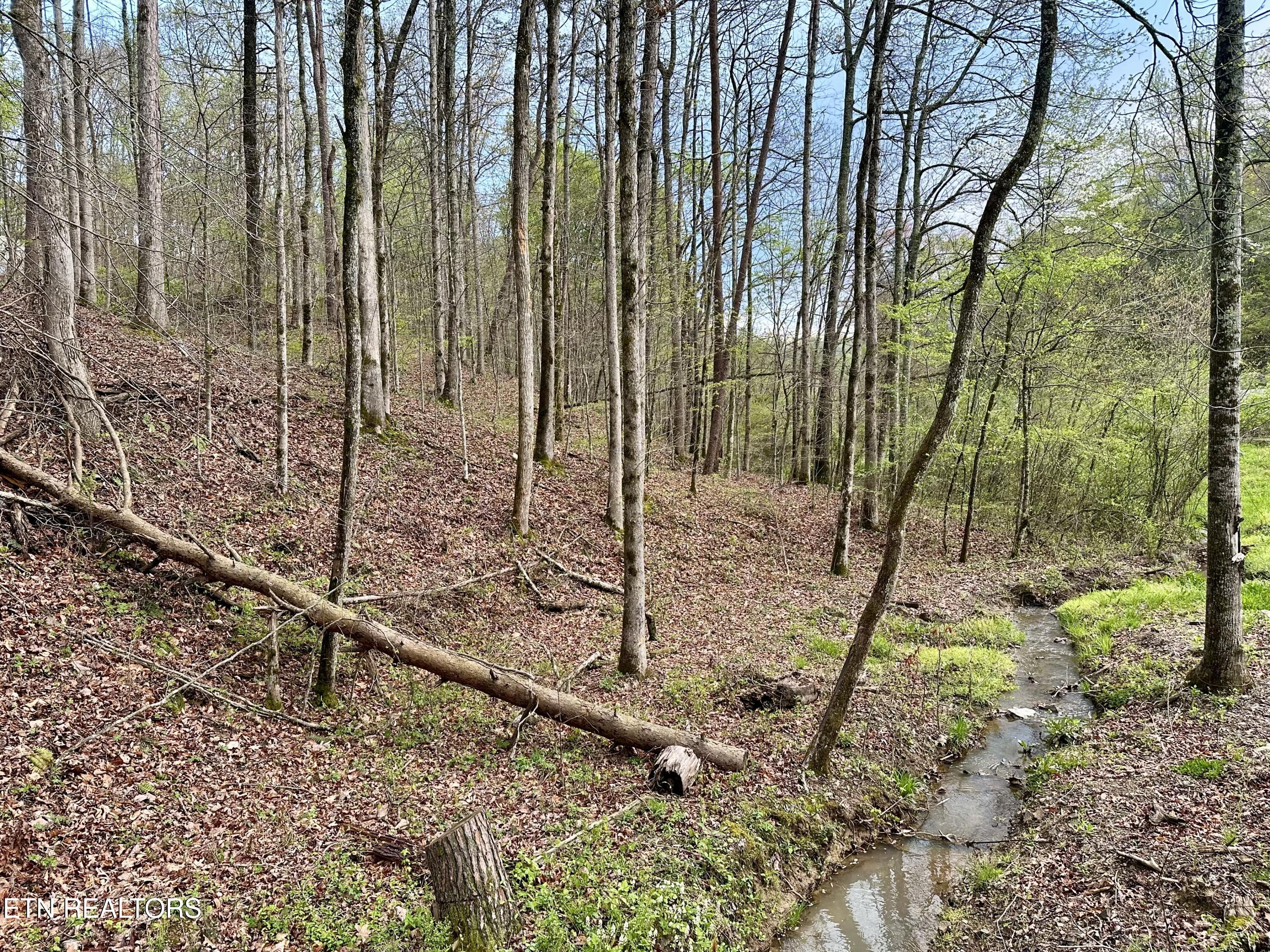 170 Lone Mountain Rd