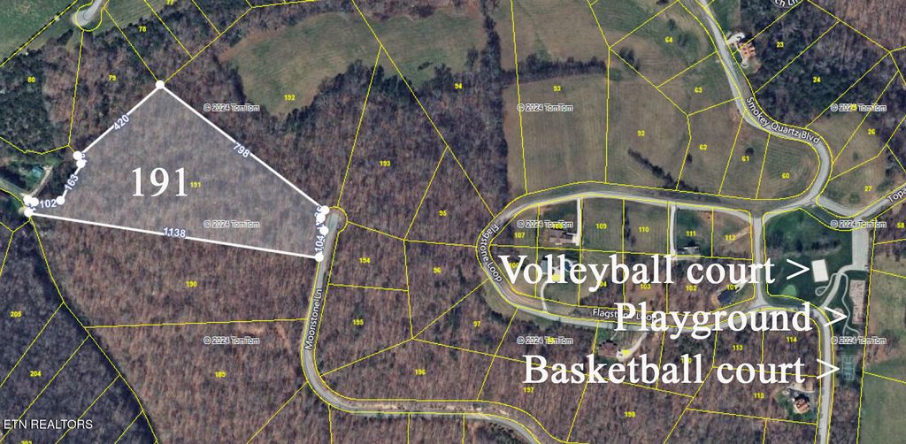 Photo of 191 Moonstone Lane, New Tazewell, TN 37825 (MLS # 1289828)