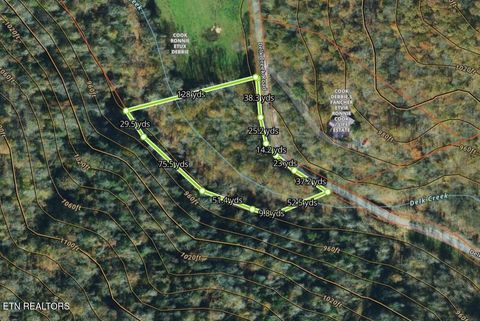 Photo of Delk Creek Rd, Pall Mall, TN 38577 (MLS # 1337180)
