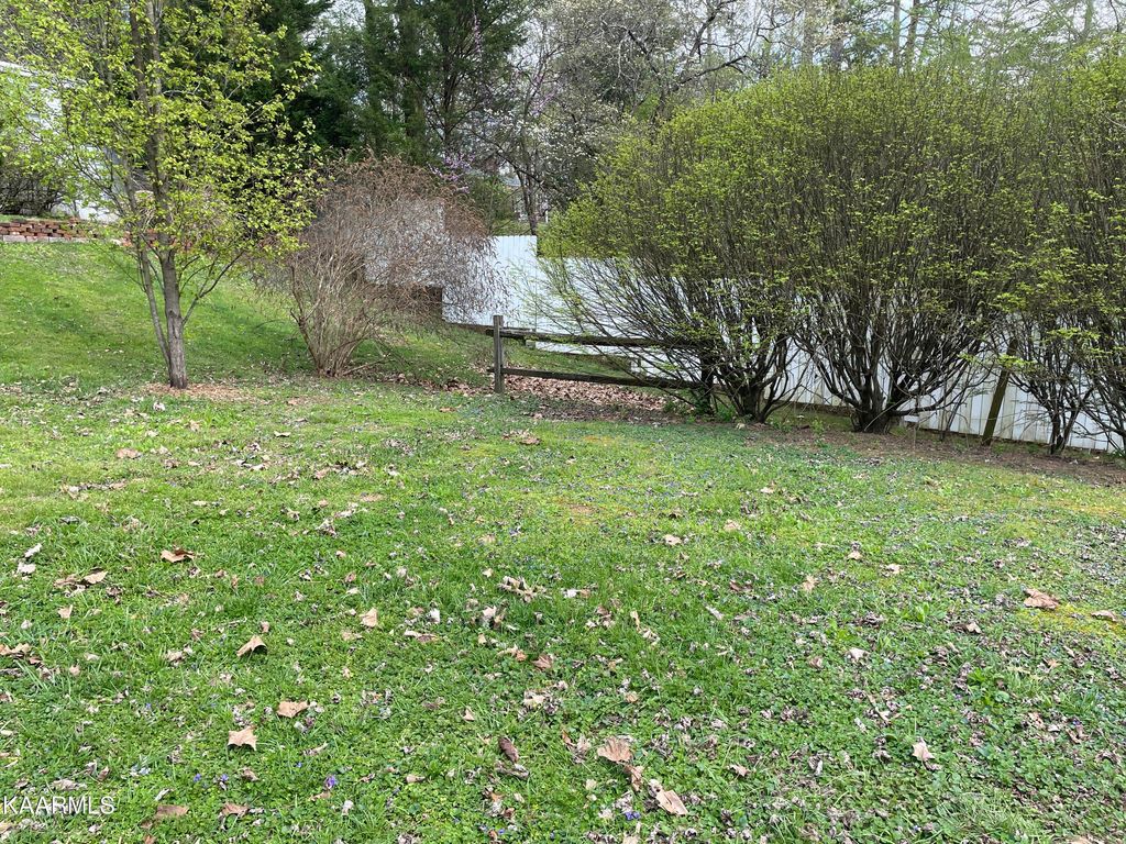 Photo of 116 Dale Ave, Oliver Springs, TN 37840 (MLS # 1226304)