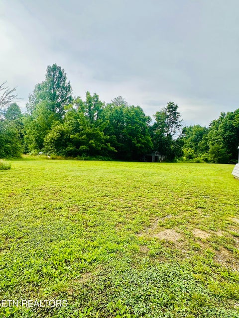 Tiny photo for 1240 Burrville Rd, Sunbright, TN 37872 (MLS # 1346001)