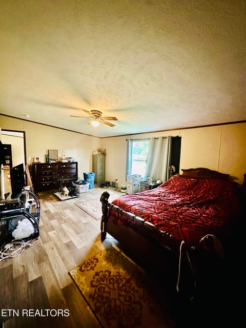Tiny photo for 1240 Burrville Rd, Sunbright, TN 37872 (MLS # 1346001)