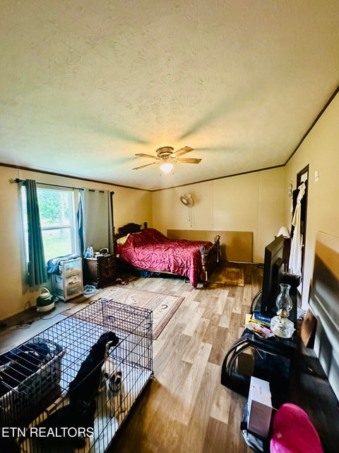 Tiny photo for 1240 Burrville Rd, Sunbright, TN 37872 (MLS # 1346001)