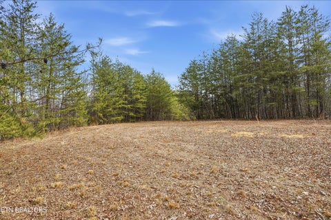 Tiny photo for 1518 Tom McCall Rd, Maryville, TN 37801 (MLS # 1351004)