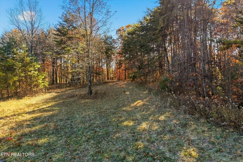 Tiny photo for 1518 Tom McCall Rd, Maryville, TN 37801 (MLS # 1351004)