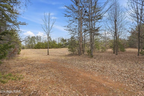 Tiny photo for 1518 Tom McCall Rd, Maryville, TN 37801 (MLS # 1351004)