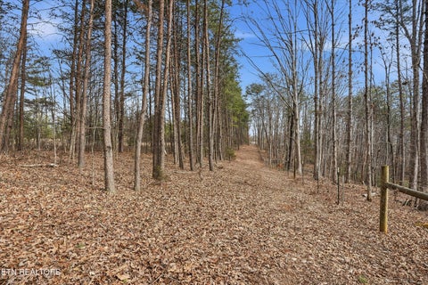 Tiny photo for 1518 Tom McCall Rd, Maryville, TN 37801 (MLS # 1351004)