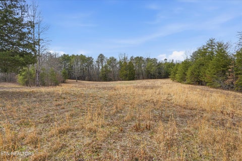 Tiny photo for 1518 Tom McCall Rd, Maryville, TN 37801 (MLS # 1351004)