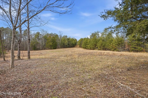 Tiny photo for 1518 Tom McCall Rd, Maryville, TN 37801 (MLS # 1351004)