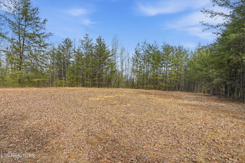 Tiny photo for 1518 Tom McCall Rd, Maryville, TN 37801 (MLS # 1351004)