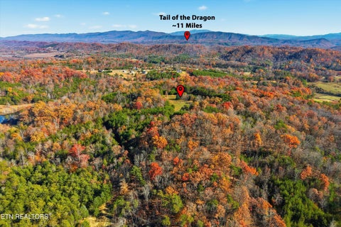 Tiny photo for 1518 Tom McCall Rd, Maryville, TN 37801 (MLS # 1351004)