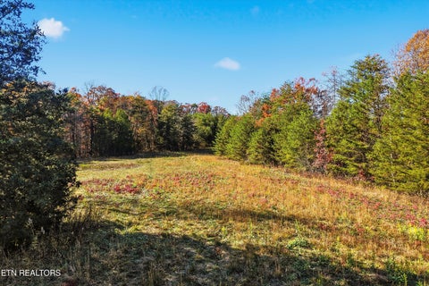 Tiny photo for 1518 Tom McCall Rd, Maryville, TN 37801 (MLS # 1351004)