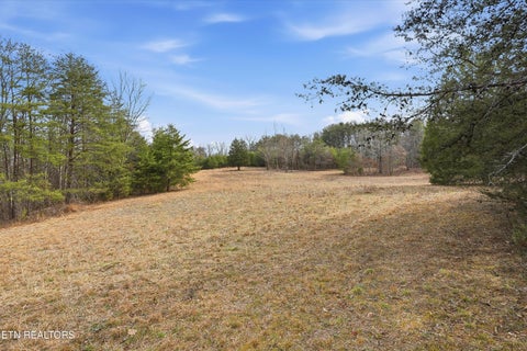 Tiny photo for 1518 Tom McCall Rd, Maryville, TN 37801 (MLS # 1351004)