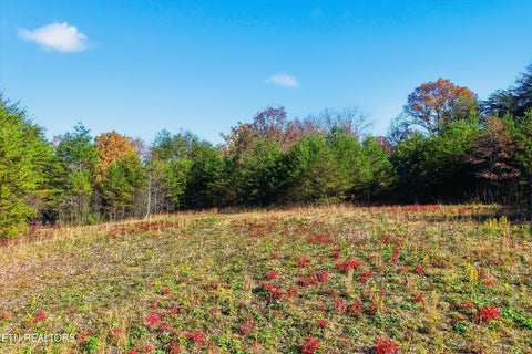 Tiny photo for 1518 Tom McCall Rd, Maryville, TN 37801 (MLS # 1351004)