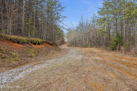Tiny photo for 1518 Tom McCall Rd, Maryville, TN 37801 (MLS # 1351004)