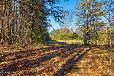 Tiny photo for 1518 Tom McCall Rd, Maryville, TN 37801 (MLS # 1351004)