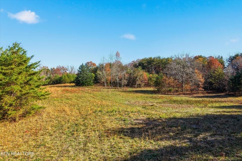 Tiny photo for 1518 Tom McCall Rd, Maryville, TN 37801 (MLS # 1351004)