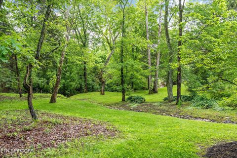 Tiny photo for 12715 Union Rd, Knoxville, TN 37934 (MLS # 1301503)