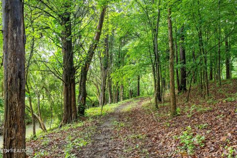 Tiny photo for 12715 Union Rd, Knoxville, TN 37934 (MLS # 1301503)