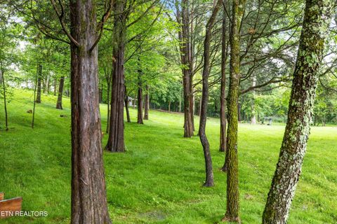 Tiny photo for 12715 Union Rd, Knoxville, TN 37934 (MLS # 1301503)