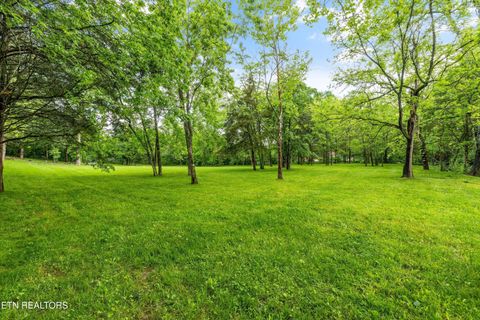 Tiny photo for 12715 Union Rd, Knoxville, TN 37934 (MLS # 1301503)