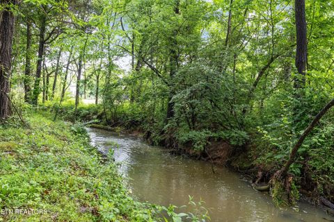 Tiny photo for 12715 Union Rd, Knoxville, TN 37934 (MLS # 1301503)