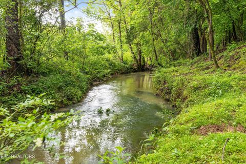 Tiny photo for 12715 Union Rd, Knoxville, TN 37934 (MLS # 1301503)