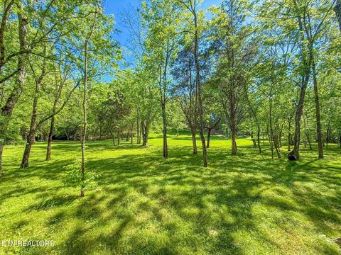 Tiny photo for 12715 Union Rd, Knoxville, TN 37934 (MLS # 1301503)