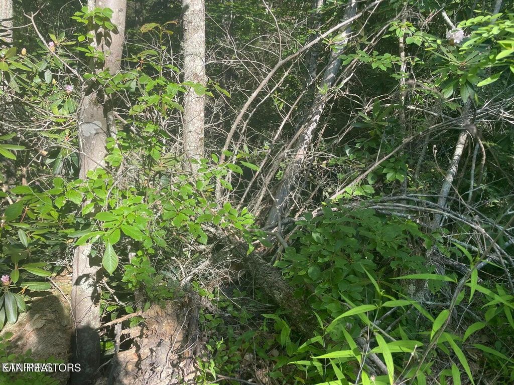 Photo of 68 Sycamore St, Sevierville, TN 37876 (MLS # 1285909)