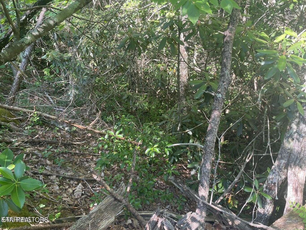 Photo of 68 Sycamore St, Sevierville, TN 37876 (MLS # 1285909)