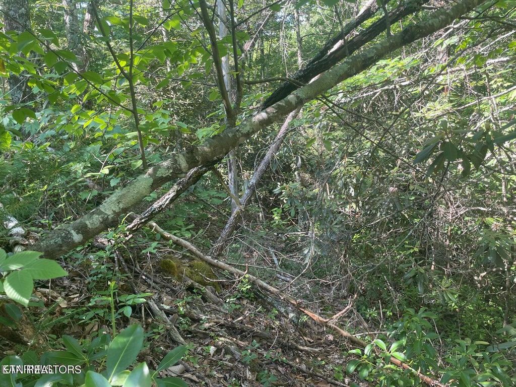 Photo of 68 Sycamore St, Sevierville, TN 37876 (MLS # 1285909)