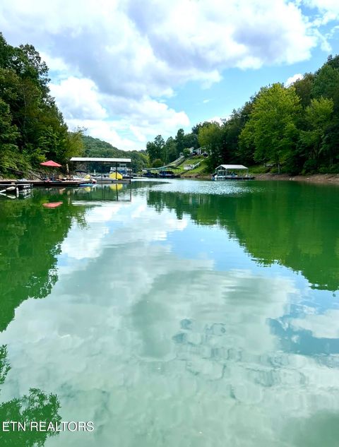 Tiny photo for 166 Jessee Rd, Maynardville, TN 37807 (MLS # 1336048)