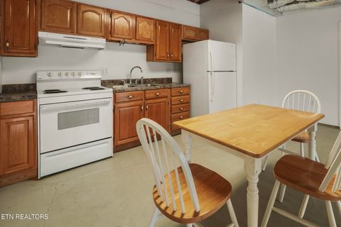 Tiny photo for 166 Jessee Rd, Maynardville, TN 37807 (MLS # 1336048)