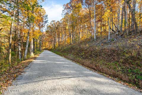 Tiny photo for 1 E Dogwood Tr, LaFollette, TN 37766 (MLS # 1346774)